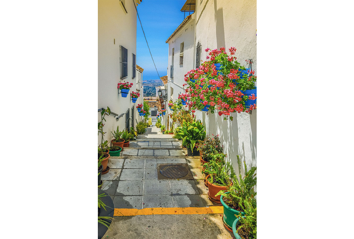 Фотообои «Улочка старого города в цветах»