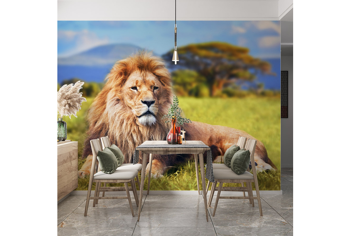 Фотообои «Лев в саванне» в интерьере