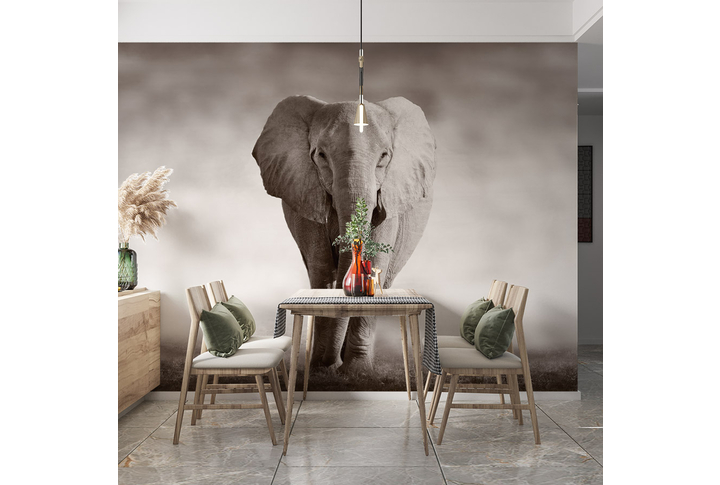 Фотообои «Красивый слон в бежевых тонах» в интерьере
