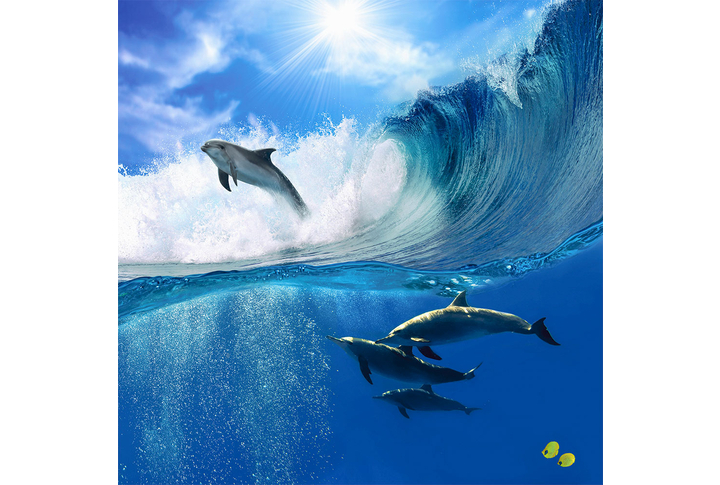 Фотообои «Дельфины в море, морские волны, подводный мир»