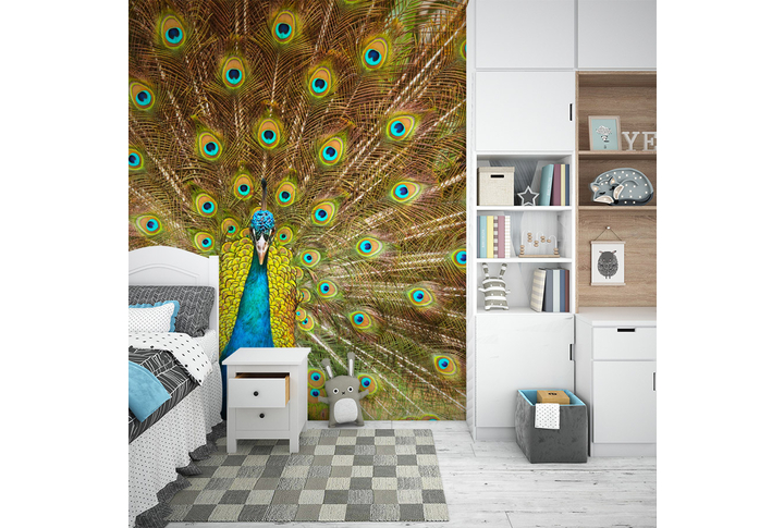 Фотообои «Яркий павлин» в интерьере