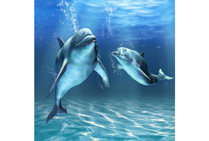 Фотообои «Дельфины в море, подводный мир»
