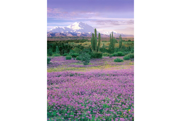 Фотообои «Мексика»