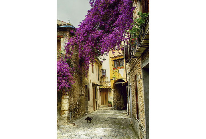 Фотообои «Дорожка через старый дворик Прованса»