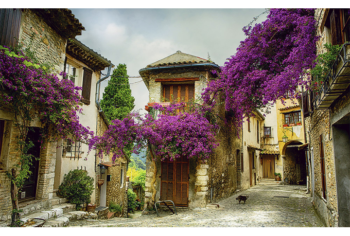 Фотообои «Улочка Прованса, просторный дворик в цветах»