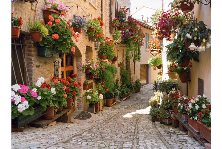 Фотообои «Улица в цветах, Италия»