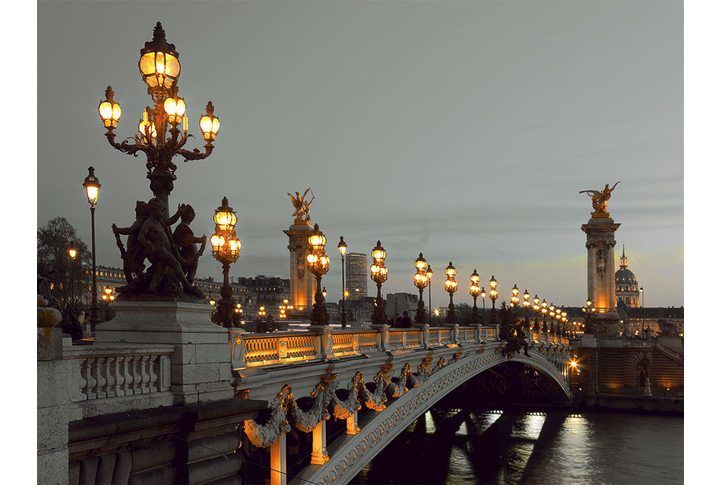 Фотообои «Свет ночных фонарей на мосту в Париже»