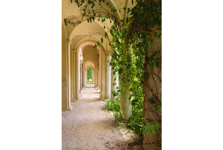 Фотообои «Арка и колонны увитые плющом»