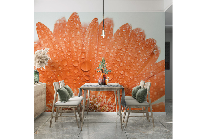 Фотообои «Лепестки герберы в каплях» в интерьере