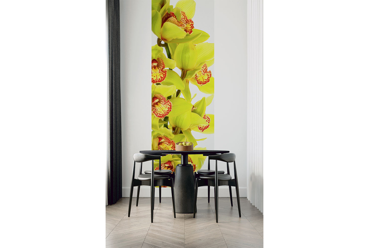 Фотообои «Зеленые орхидеи» в интерьере