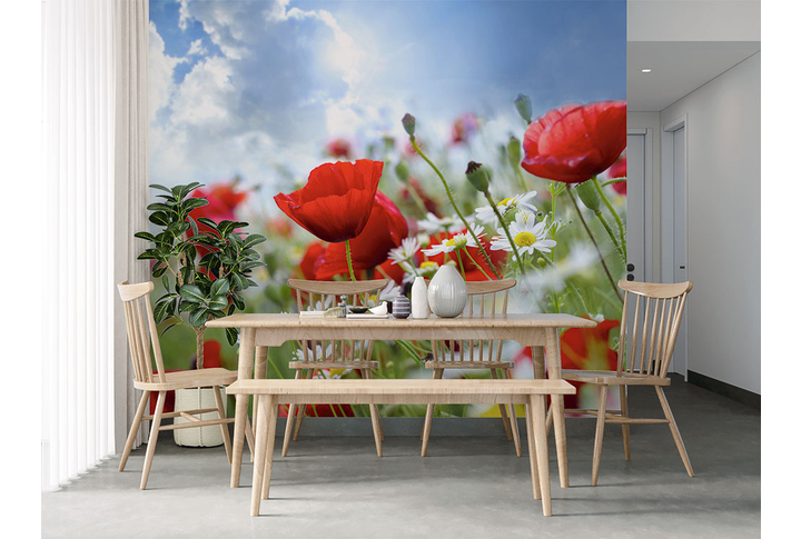 Фотообои «Маки и ромашки в поле на фоне облаков» в интерьере