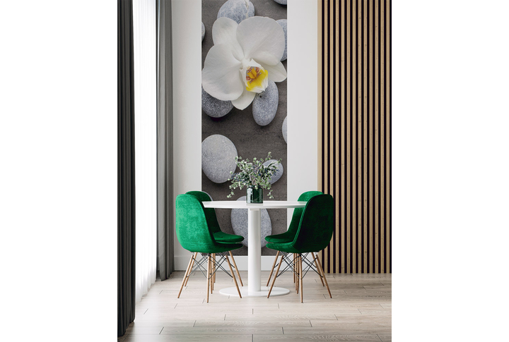 Фотообои «Цветок белой орхидеи на камнях» в интерьере