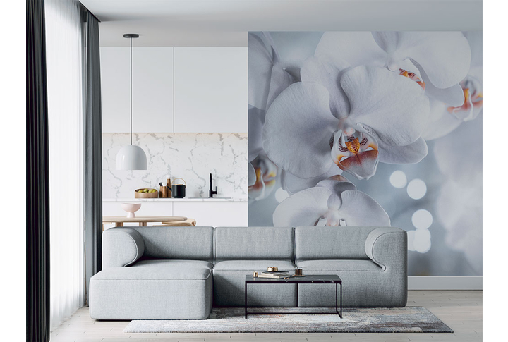 Фотообои «Орхидея в черно-белом» в интерьере