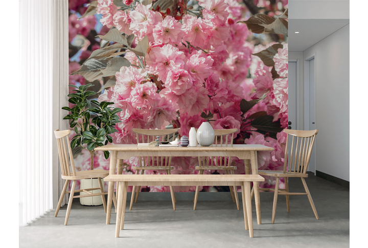 Фотообои «Розовая сакура в саду» в интерьере