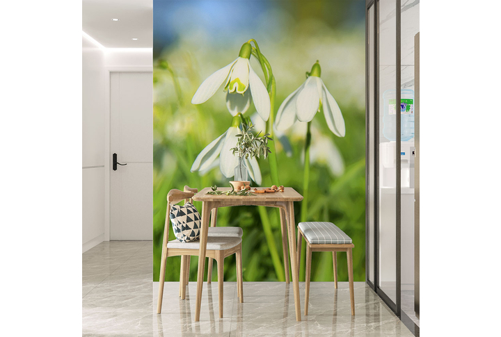Фотообои «Первые подснежники в зелени» в интерьере