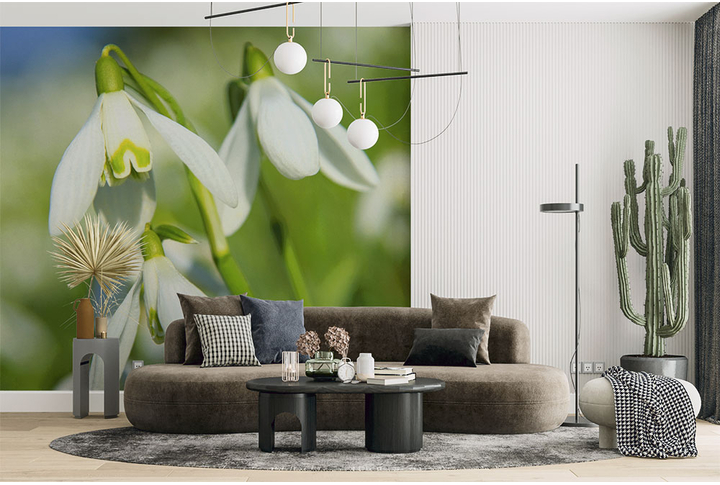 Фотообои «Цветы подснежника в утреннем свете» в интерьере