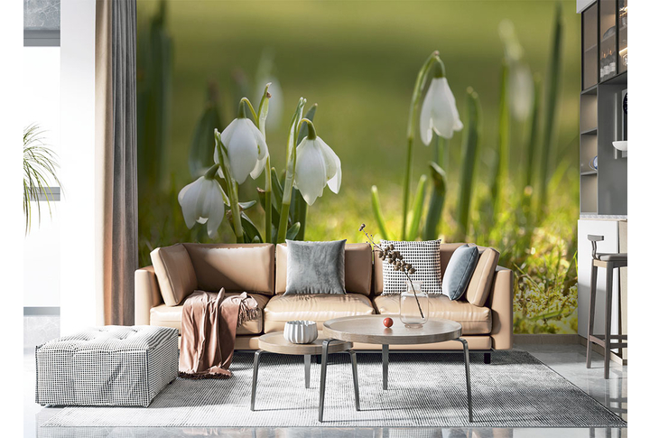 Фотообои «Весенний сюжет с подснежниками» в интерьере