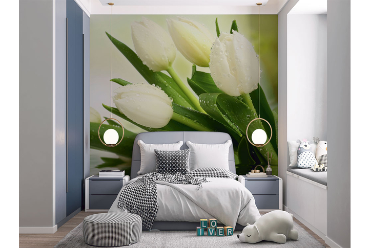 Фотообои «Белые тюльпаны, цветы в каплях росы» в интерьере