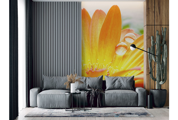 Фотообои «Желтая гербера с каплями на лепестках» в интерьере