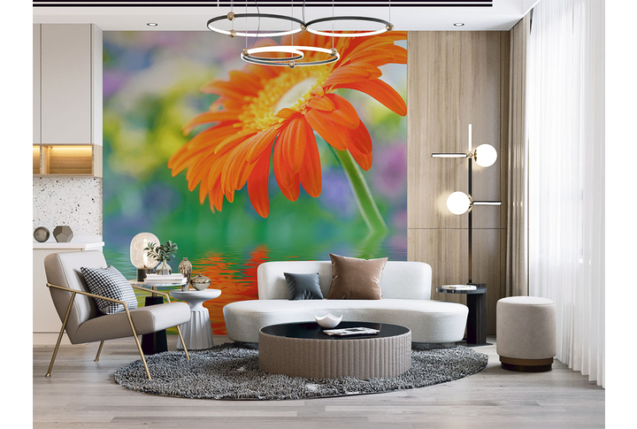 Фотообои «Красивая оранжевая гербера» в интерьере