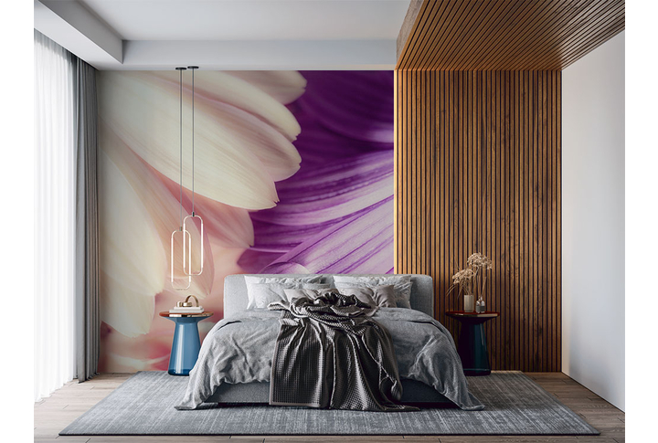 Фотообои «Герберы и капля воды на лепестках» в интерьере