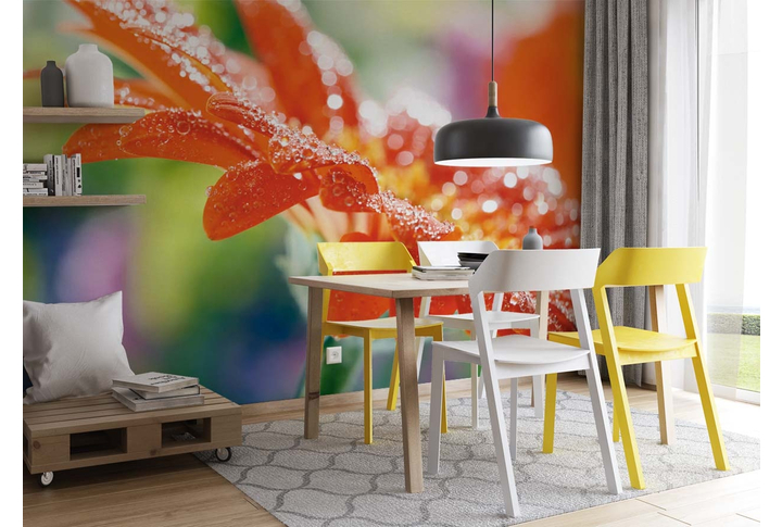 Фотообои «Гербера в каплях после дождя» в интерьере