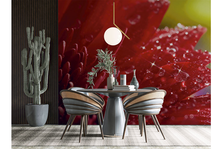 Фотообои «Лепестки герберы в каплях воды» в интерьере