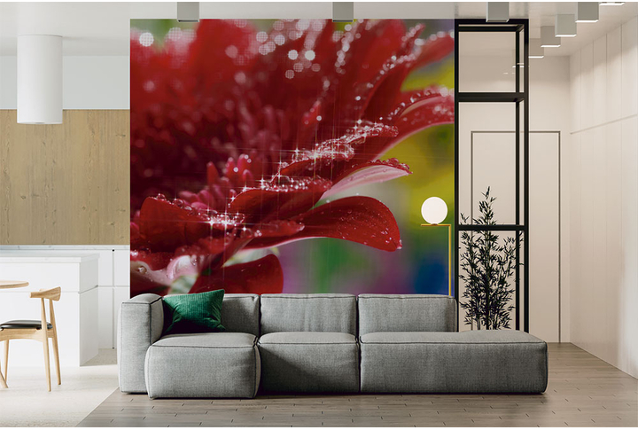 Фотообои «Гербера в блестящих каплях воды» в интерьере