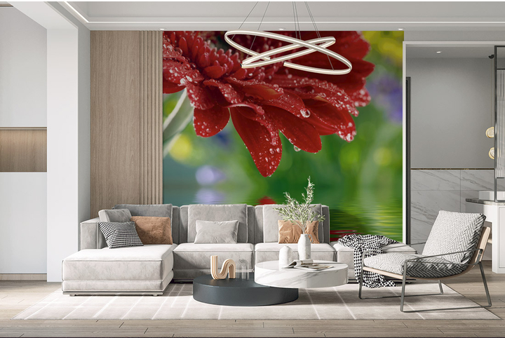 Фотообои «Яркий цветок герберы над водой, капли дождя» в интерьере