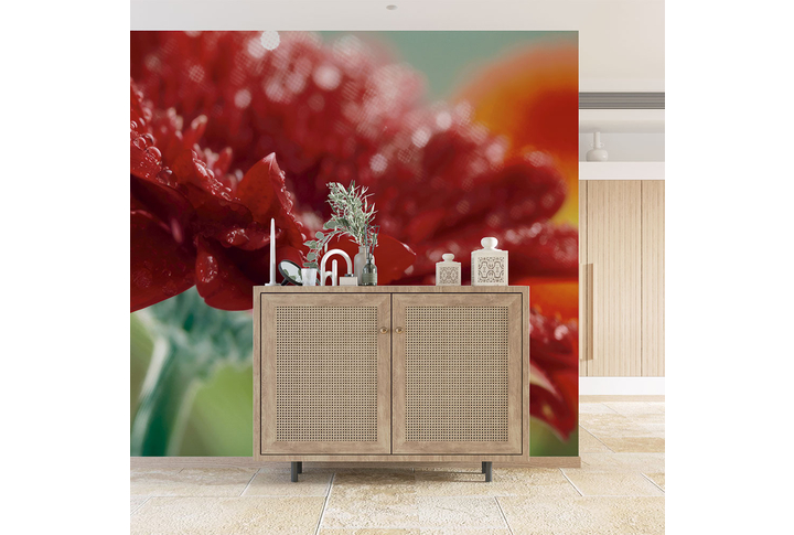 Фотообои «Темно-красная гербера в каплях» в интерьере