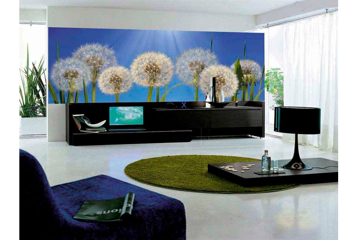 Фотообои «Одуванчики» в интерьере