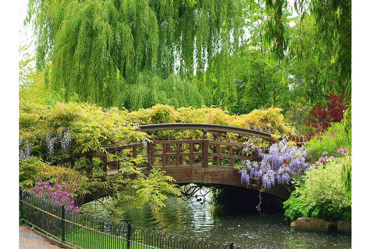 Фотообои «Старинный мостик через реку в летнем саду»