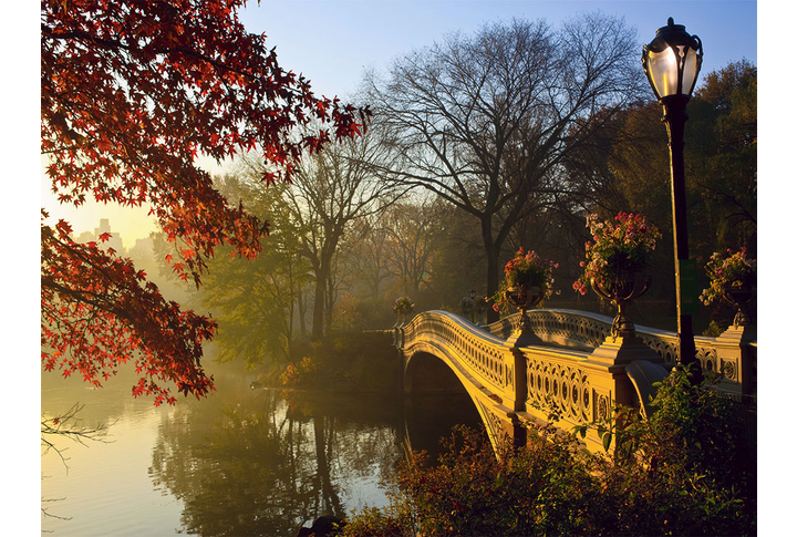 Фотообои «Городской парк Нью-Йорка в осеннем тумане»