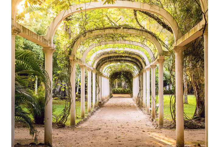 Фотообои «Зеленая терраса с колоннами, осенний сад»