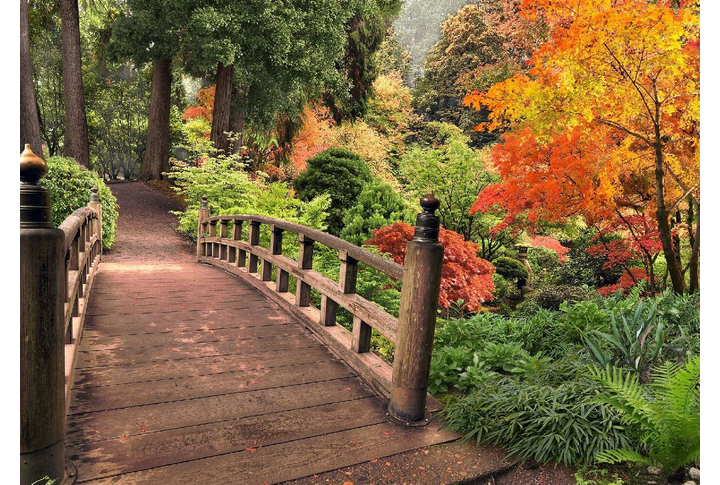 Фотообои «Мостик в Осень»