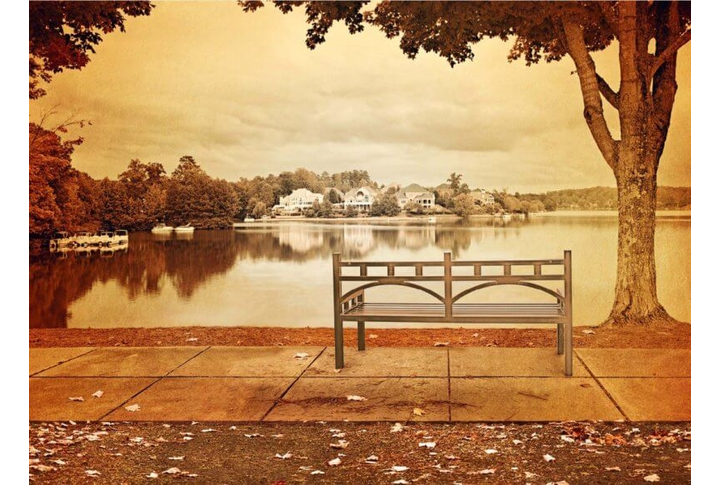 Фотообои «Тишина»