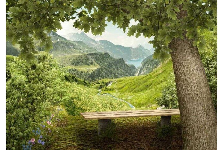 Фотообои «Летняя Прохлада»