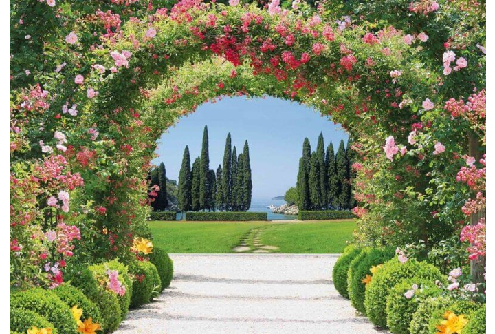 Фотообои «Бархатный Сезон»