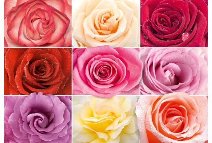 Фотообои «Разноцветное Настроение»