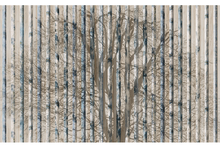 Фотообои «Деревянные доски и тени от дерева»