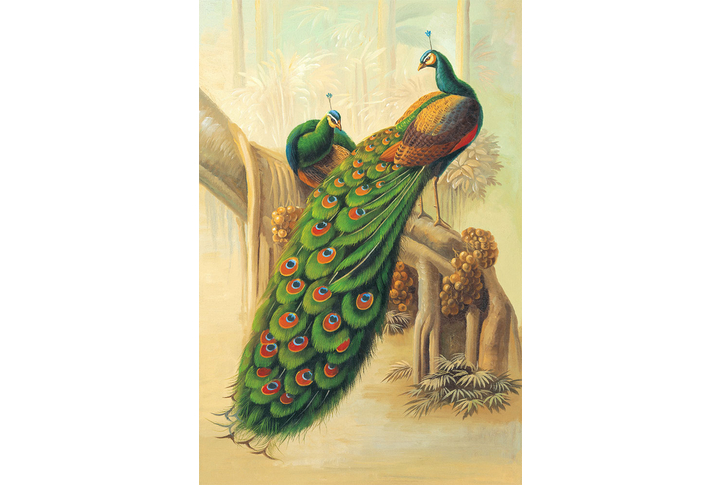 Фотообои «Павлины на дереве»