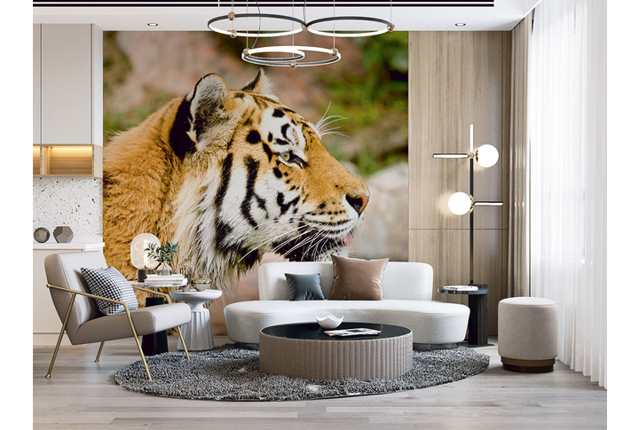 Фотообои «Красивый тигр» в интерьере