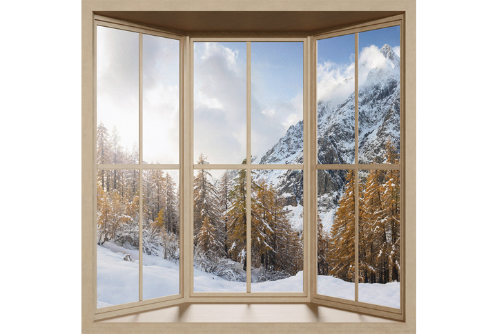 Фотообои «Вид из окна на солнечный зимний лес»