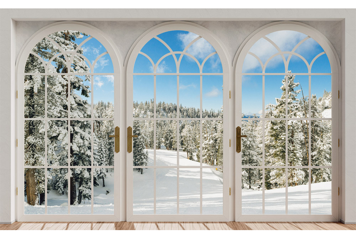 Фотообои «Арочные окна на террасе с видом на зимний лес»