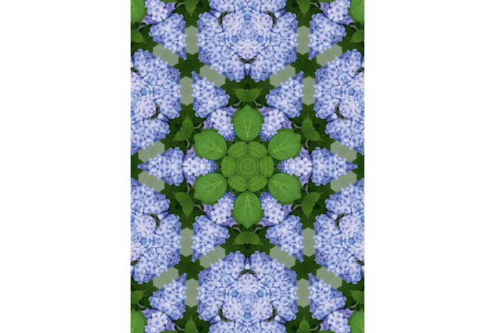 Фотообои «Цветочный калейдоскоп»