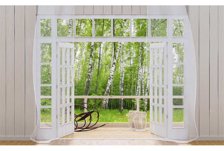 Фотообои «Большое окно на террасе в березовом лесу»