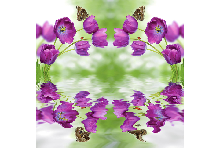 Фотообои «Тюльпаны с бабочками в отражении воды»