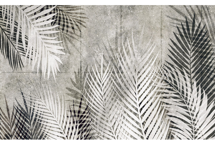Фотообои «Пальмовые листья на бетонной стене»