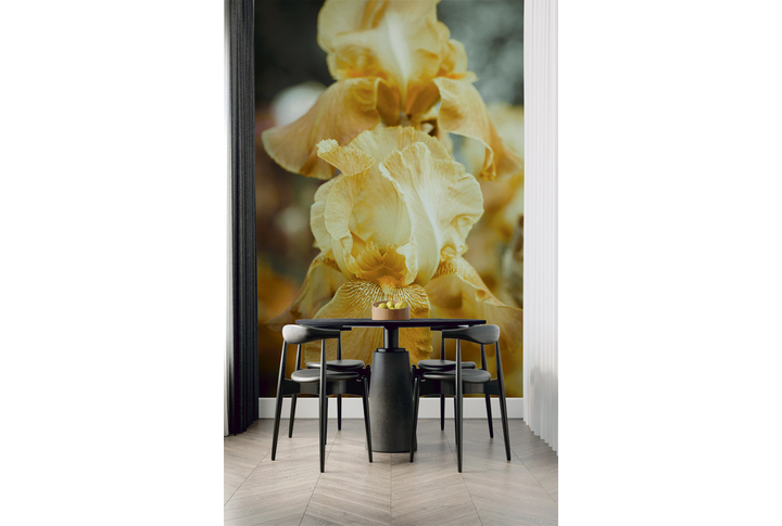 Фотообои «Желтые ирисы» в интерьере