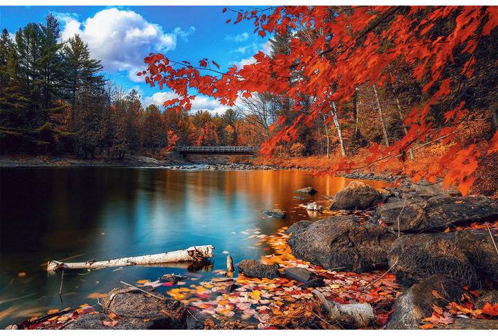 Фотообои «Озеро и река в осеннем лесу»